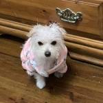 Zhaima Johnson Profile Picture