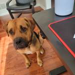 Poopah Profile Picture