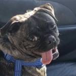 Beth McCarthy Profile Picture