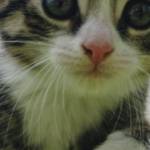 Lilith48 Profile Picture