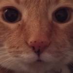 Jenny Johnson Profile Picture