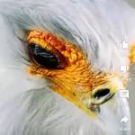 Mic****e Rodriguez Profile Picture