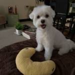 Brerico Profile Picture
